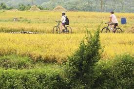 Hanoi Biking To Siem Reap Tour 13 Days